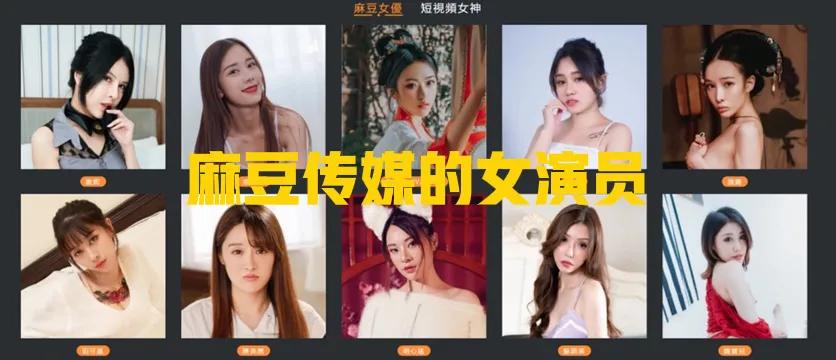 麻豆传媒一年获利500万,员工月薪高达十万以上,最终被警方查处