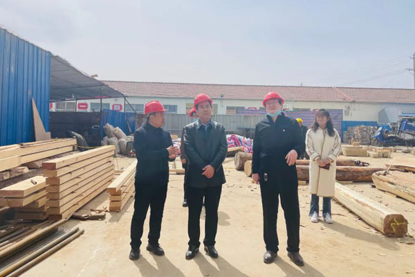 胡红星调研文物保护工作