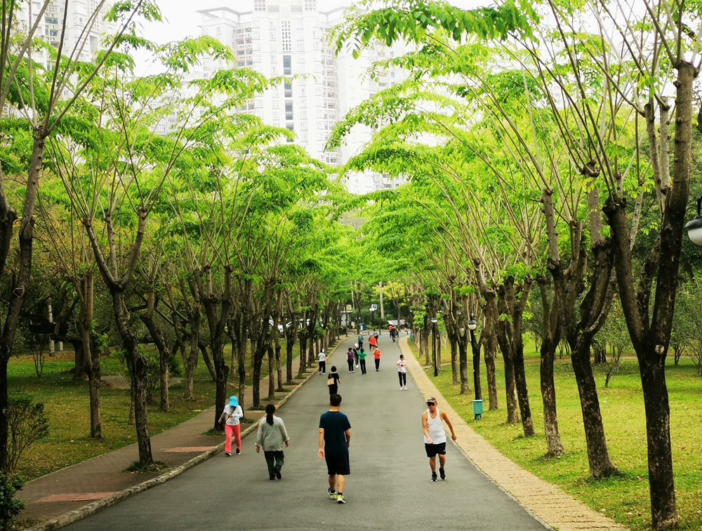 国家森林城市深圳