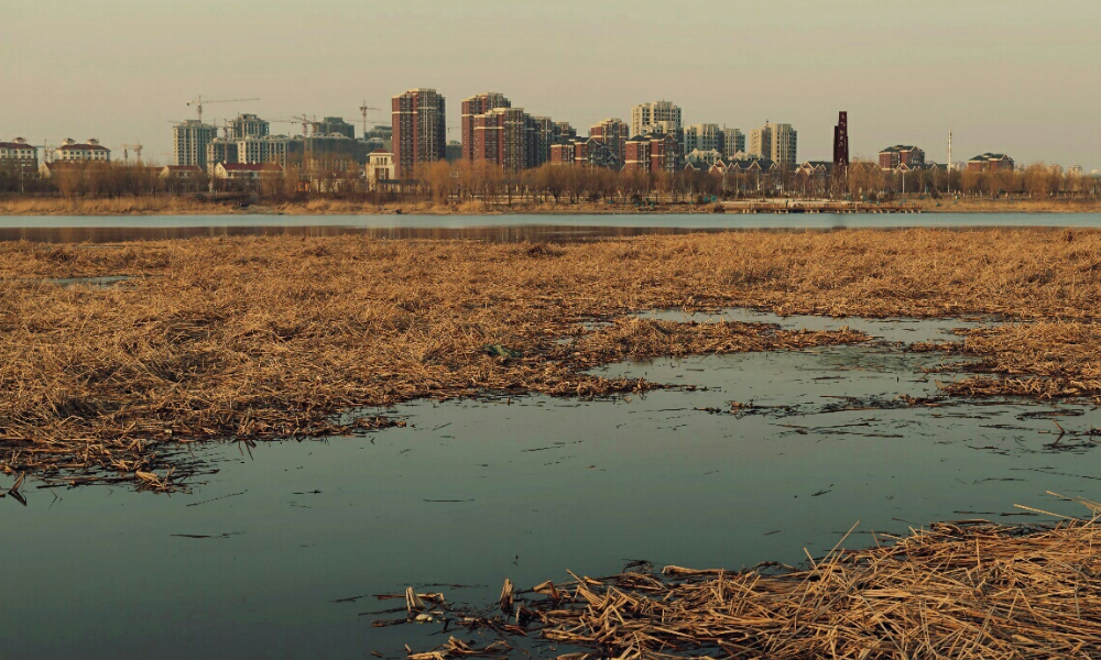 纪实:富豪杀人犯夏克明,8年内杀8人,理由竟是他们知道的太多?