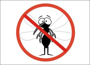 为何一关灯蚊子嗡嗡叫,开灯就听不到?教你正确做法,睡个安稳觉