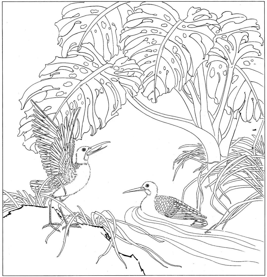 一组40幅工笔花鸟小品白描素材图︱艺术名画