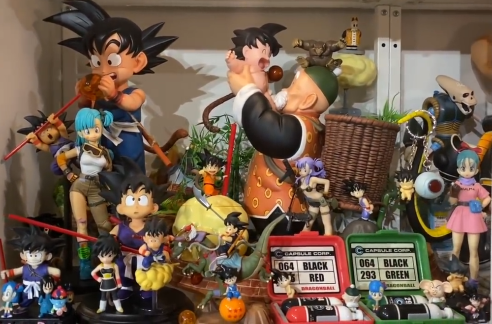 手办变垃圾,小情侣家中收藏手办,被专业团队收拾出800kg垃圾