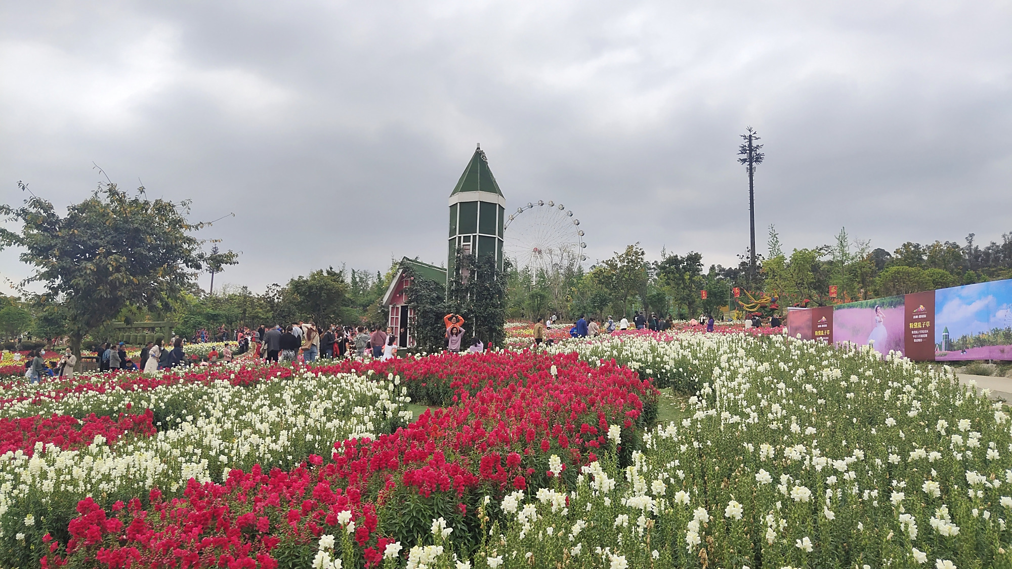 成都音乐百花谷,这里的花开得正艳