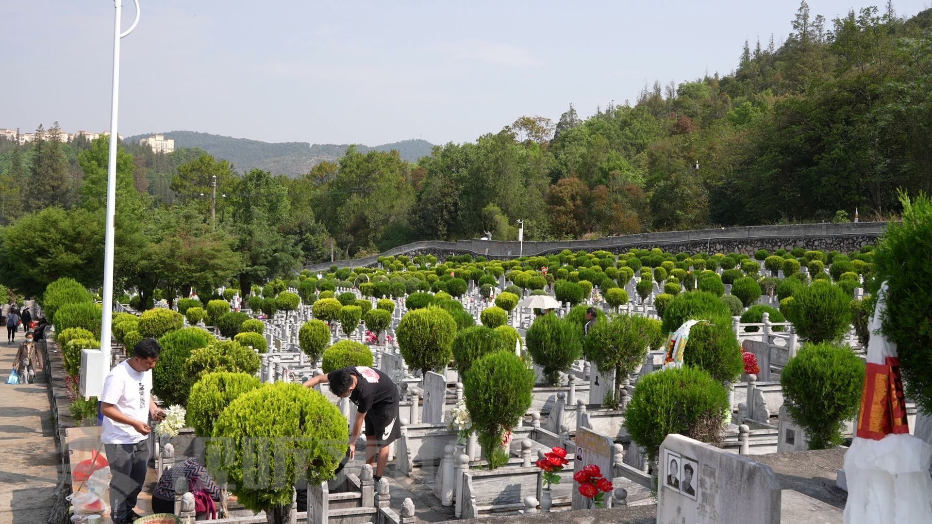 文山公墓迎来祭扫高峰 鲜花祭扫成清明"主流"