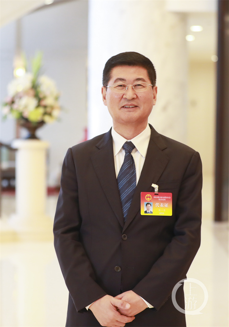 大足区委书记陈一清:全域打造大足石刻文化公园
