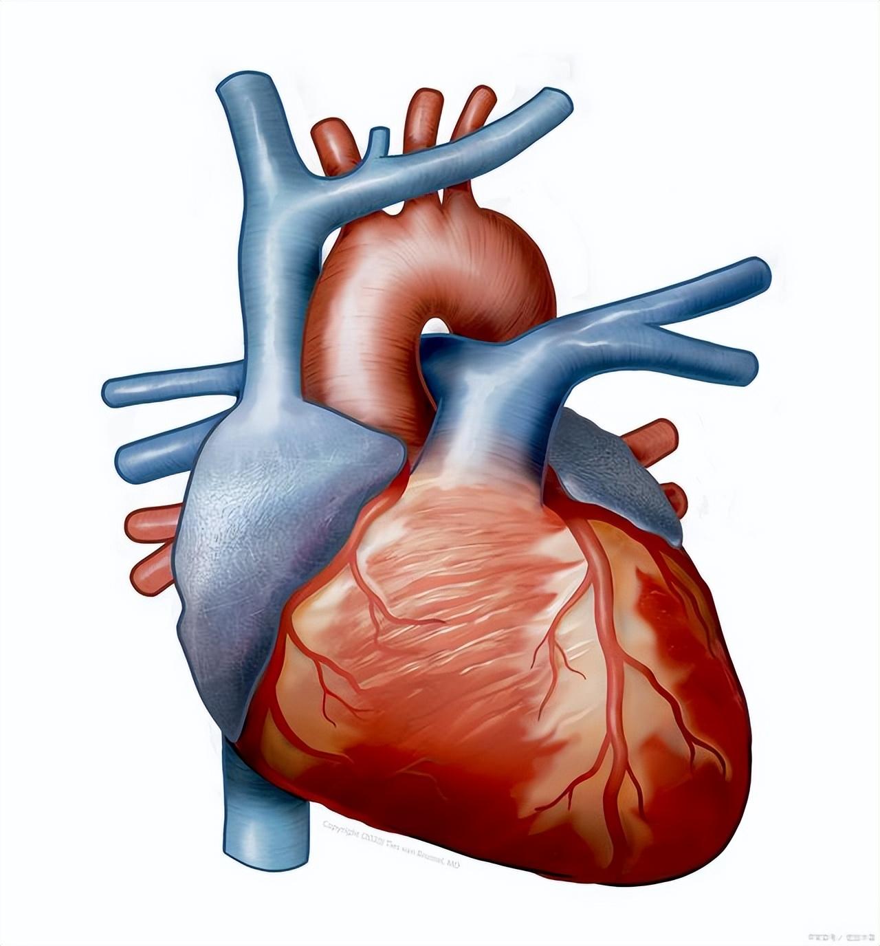 2015年17岁少年去医院检查,医生却让他准备后事,他到底怎么了?