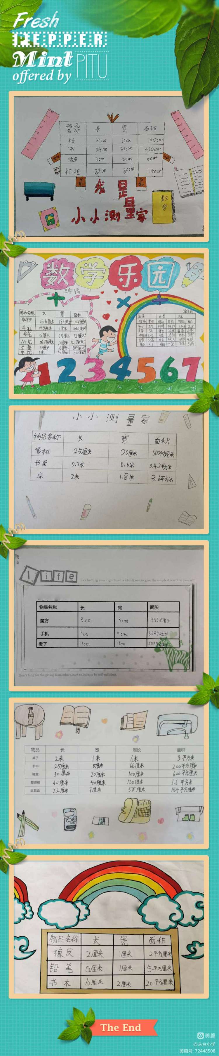 数学实践活动测量图片