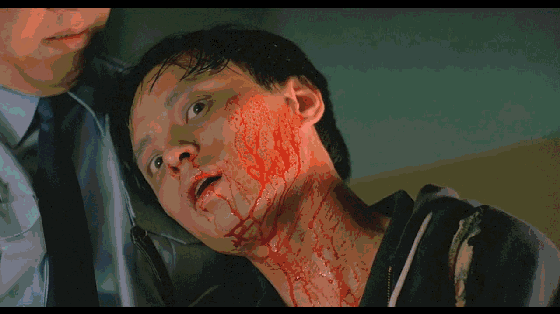 560_314gif 动态图 动图