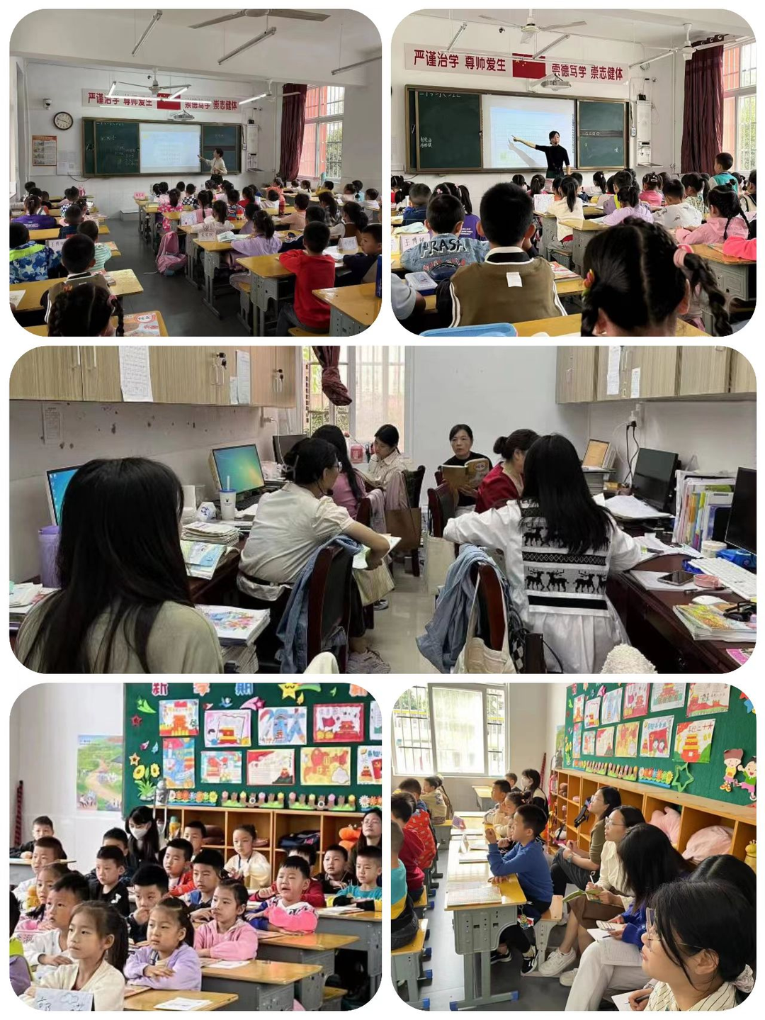 新途逐梦想 潜心待绽放 信阳市第三实验小学新教师培训系列活动