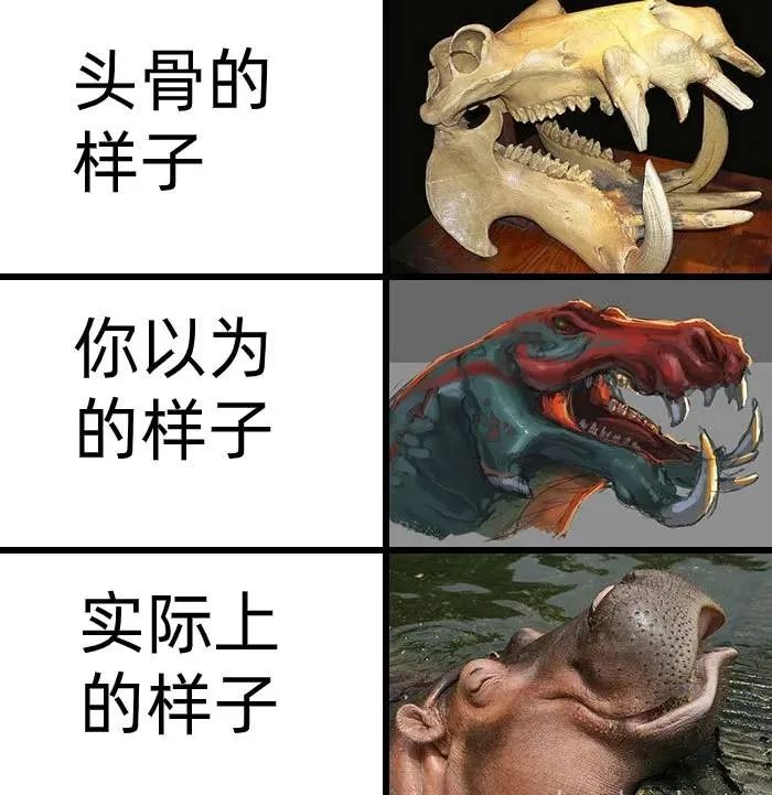 画虎画皮难画骨?错 难在虎骨画皮还是虎