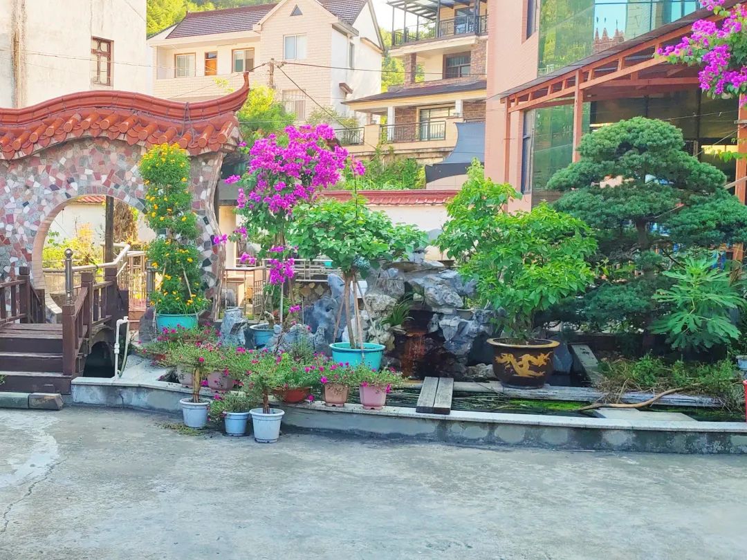 家园环境美|2022年第二批萧山区"美丽庭院示范户"和"美丽示范楼道"