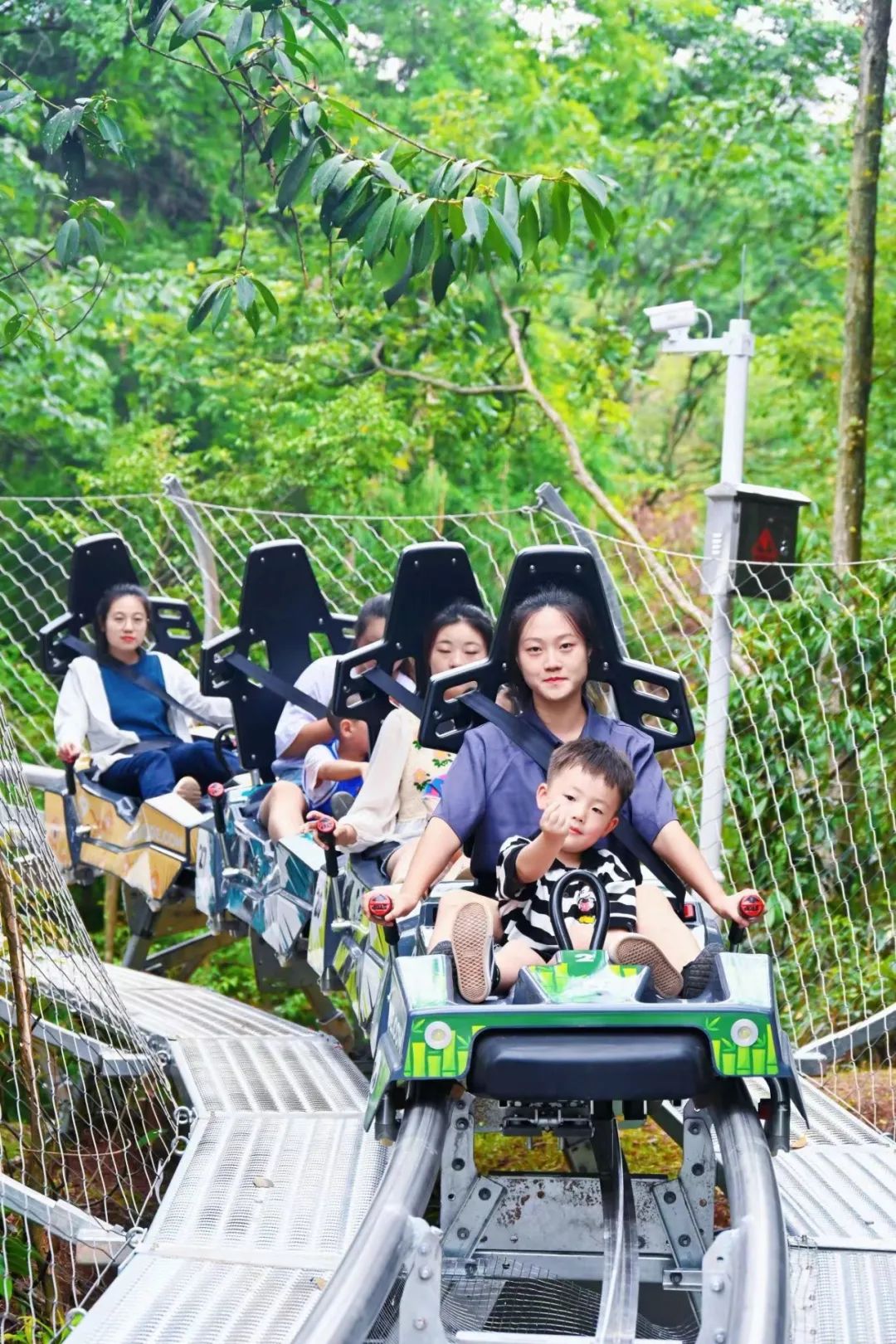 放声尖叫吧碧峰峡丛林过山车正式运营啦