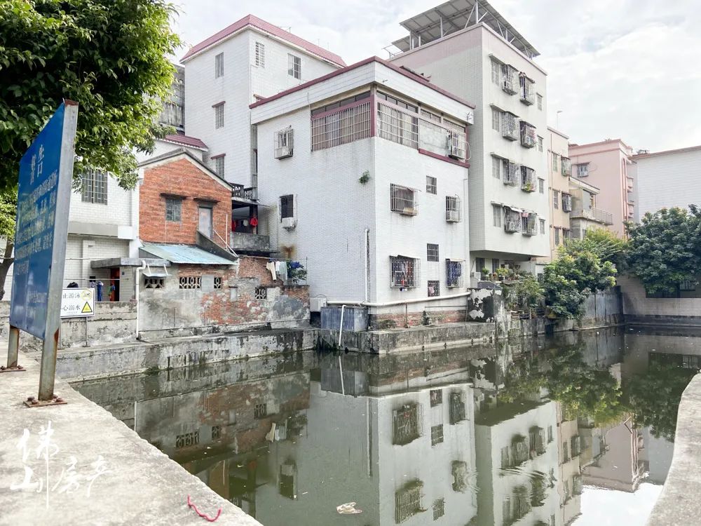 张槎大沙村846亩旧改有动作,又有表决公示?