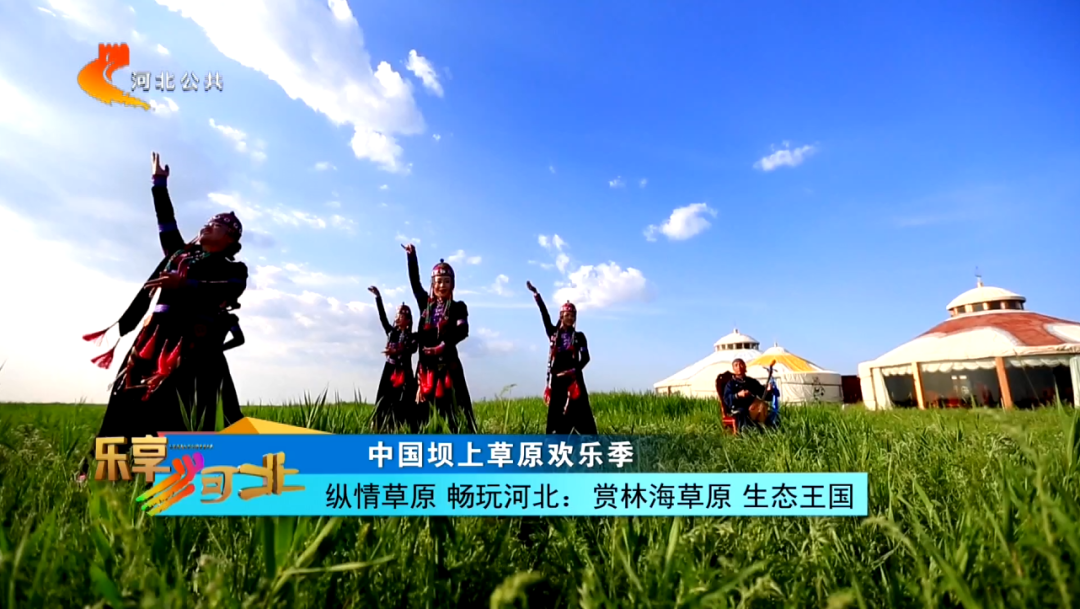 中国坝上草原欢乐季|张家口沽源草原天路白河源 多业态融合打造文旅