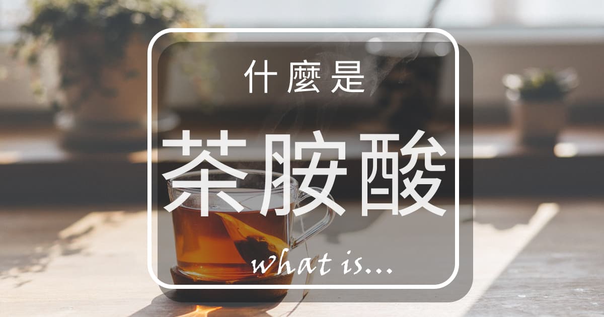 茶氨酸有助于睡眠?3种茶氨酸的功效和副作用