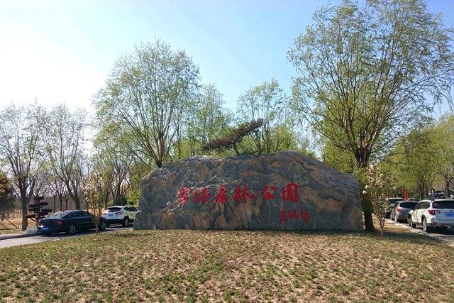 天津又一公园"走红",就在大港区境内,人称津门"后花园"