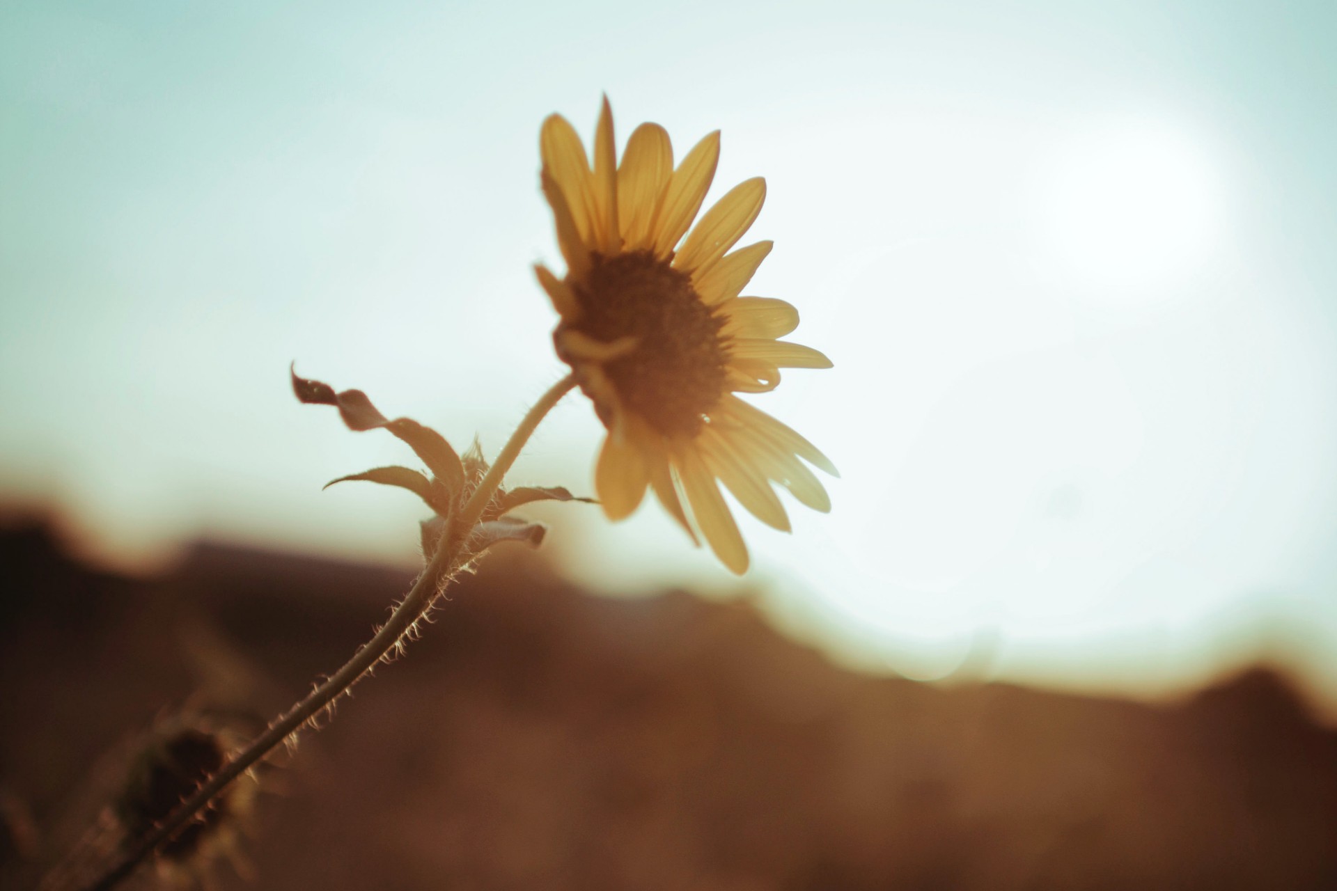 有一种思念,只能放在心里