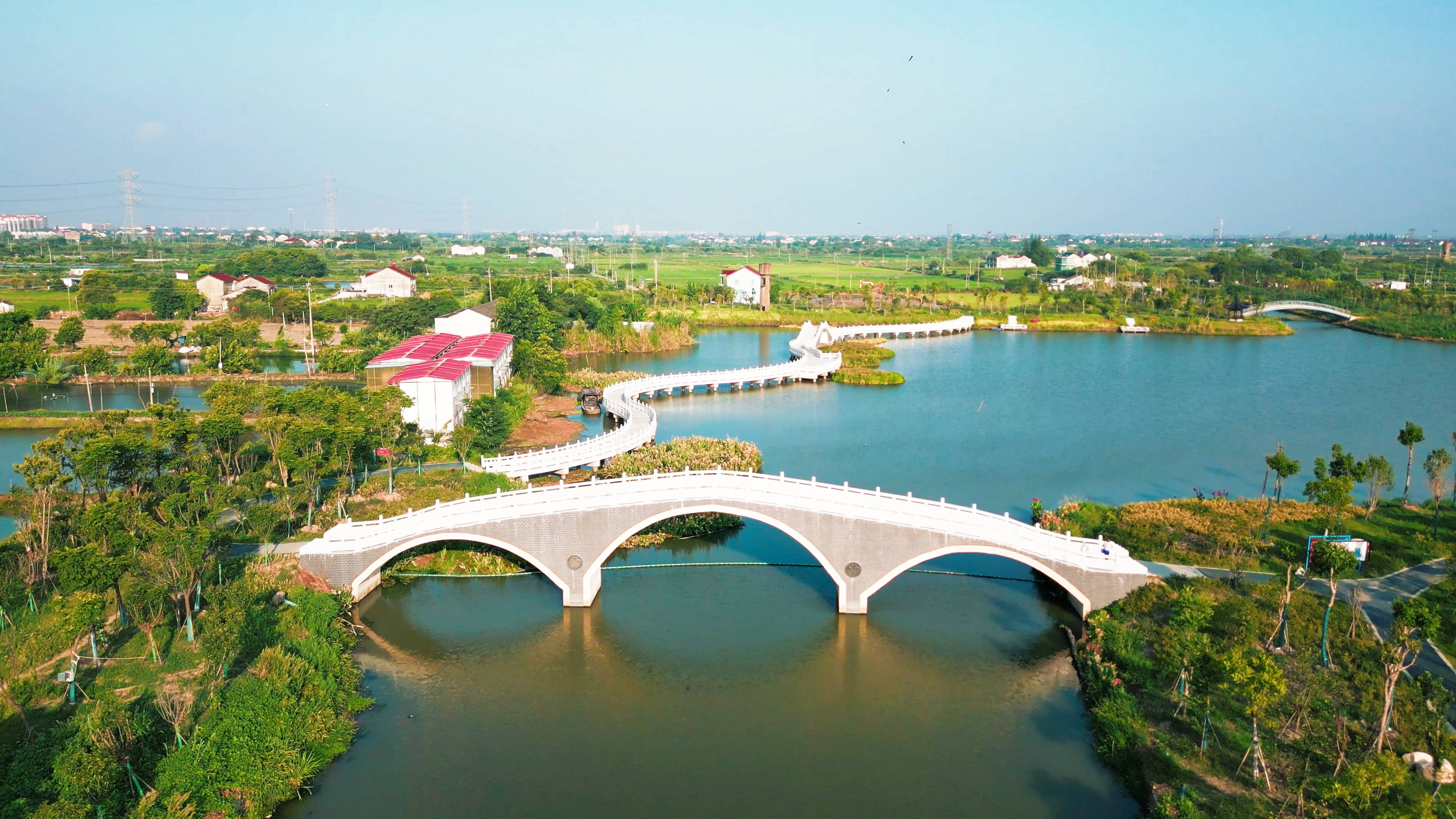 荆州菱湖图片