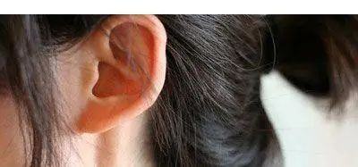 你的耳朵像驴耳吗?这种面相有什么讲究?