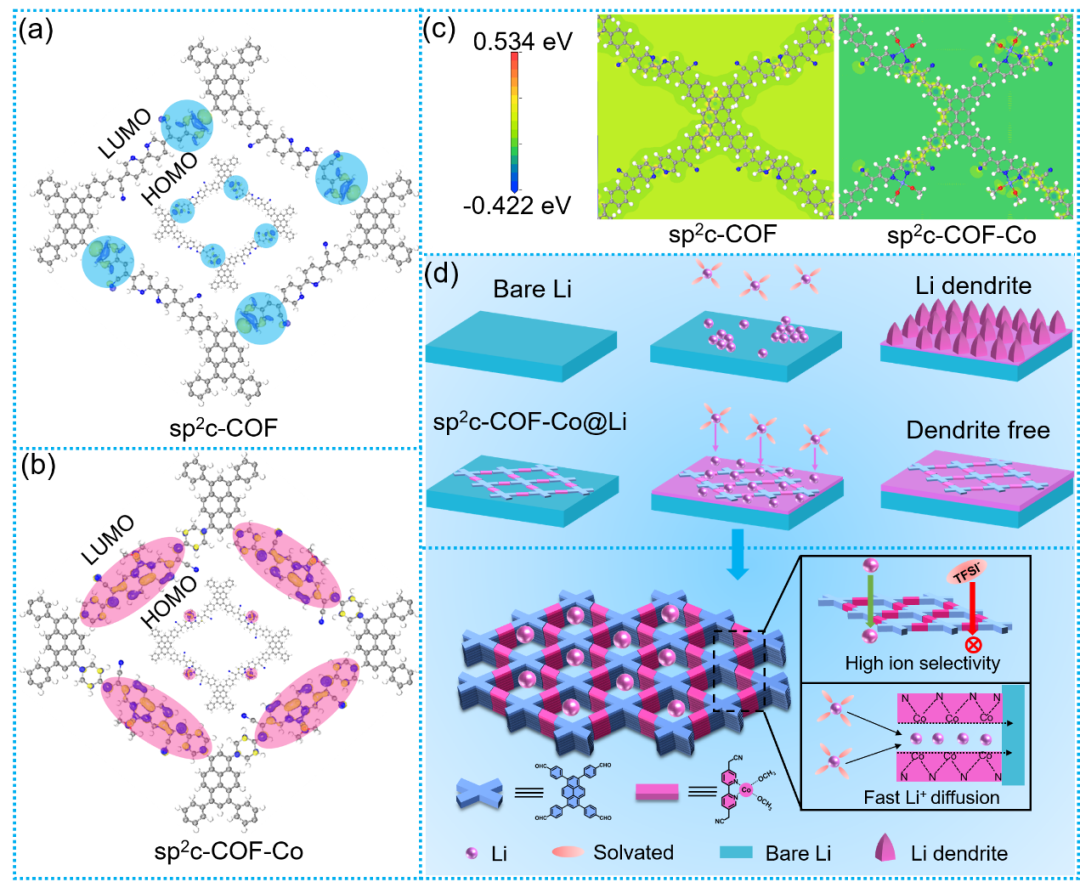 郭洪团队新突破:cofs单原子金属位点抑制锂枝晶生长的创新研究