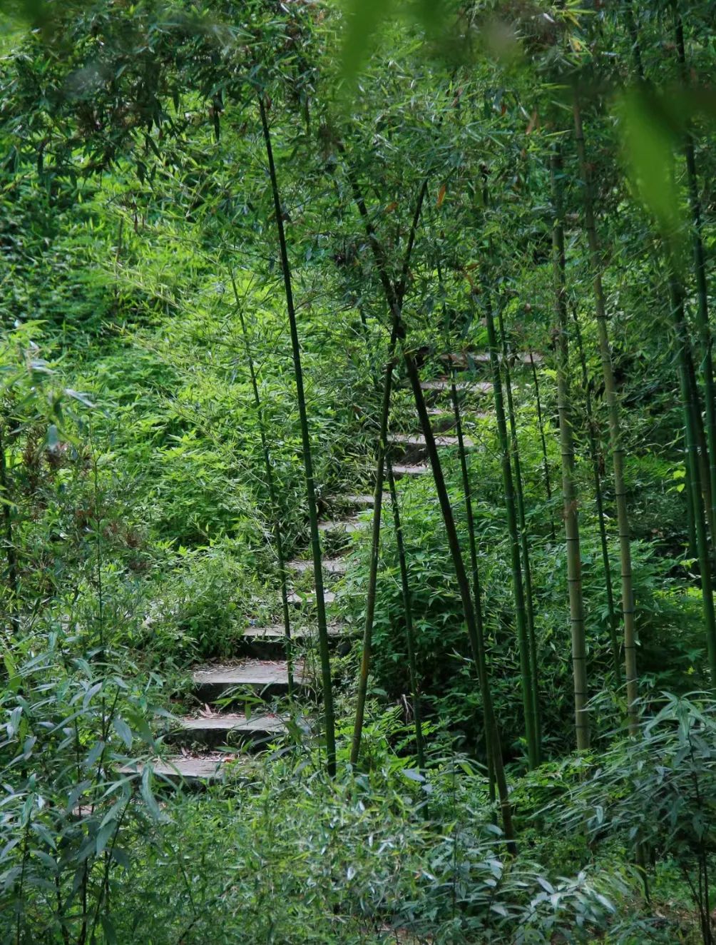 成都周边郊县图片