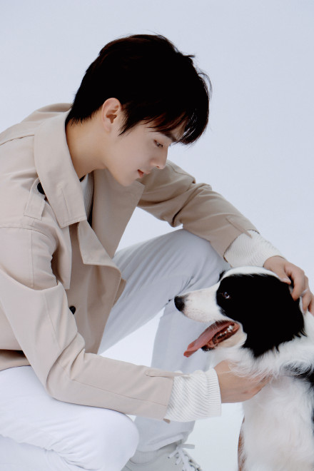 许凯与小狗玩耍眼神宠溺 亲密互动画面超温馨