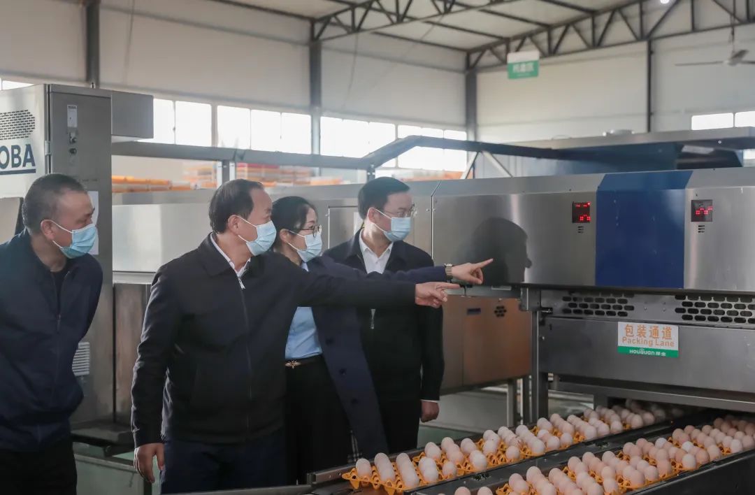 乐山市委书记马波调研百茶园区,肯定厚全"六个带动"
