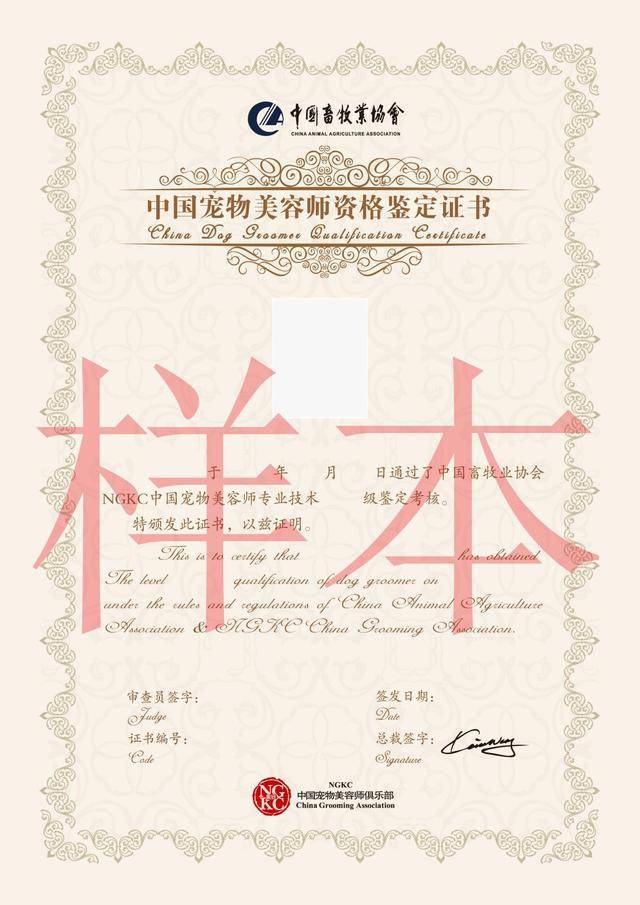 艺凝宠物美容培训三分钟带您了解ngkc宠物美容师证书含金量