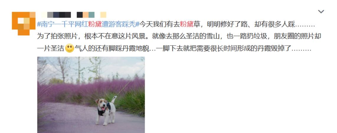 热点|“进入花田你没有花美！”景区一段硬核喊话爆火，网友：你大妈还是你大妈