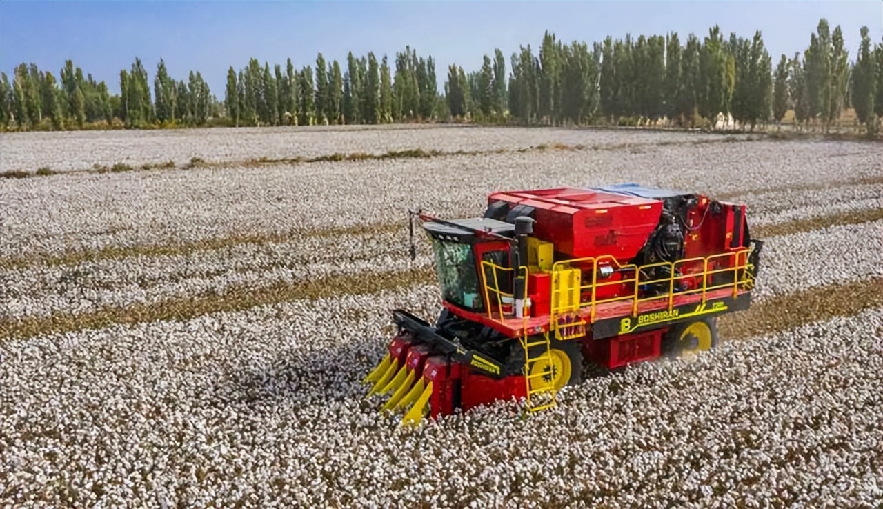 我国每年进口百万吨棉花,同时又出口大量新疆棉,到底为什么?