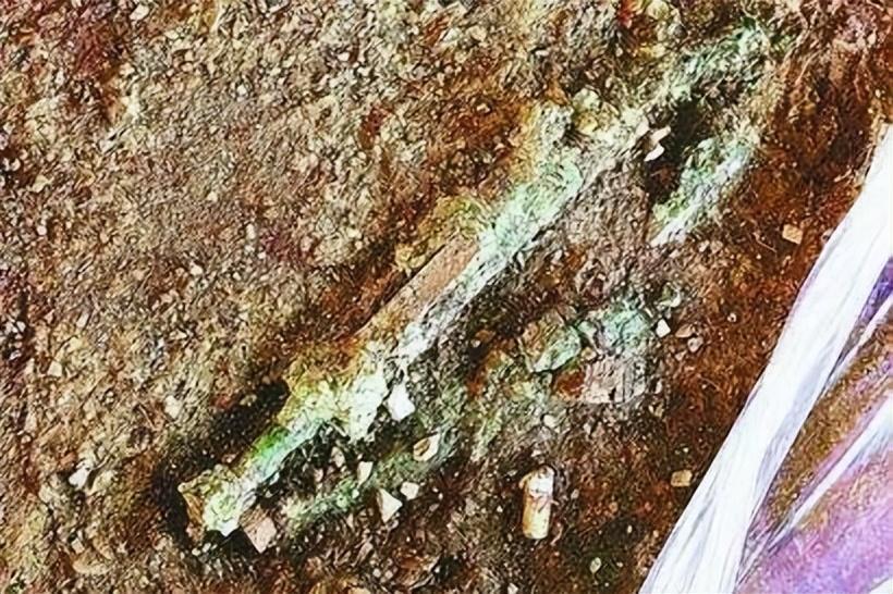 回顾:12年山东发现2600年前山顶墓,墓中竟有殉葬的儿童,姿势怪异