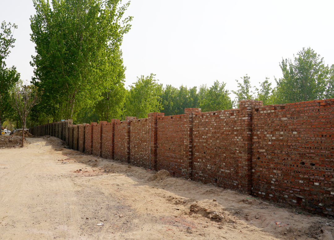 "双十行动"强治理|长阳镇朱岗子村:"双网格"齐头并进 共筑和美乡村新