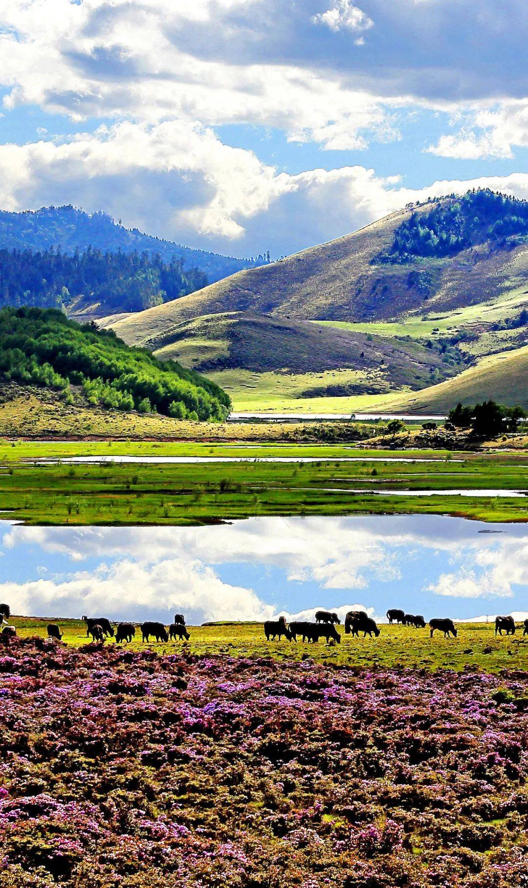 四川凉山,有多少极致风光?