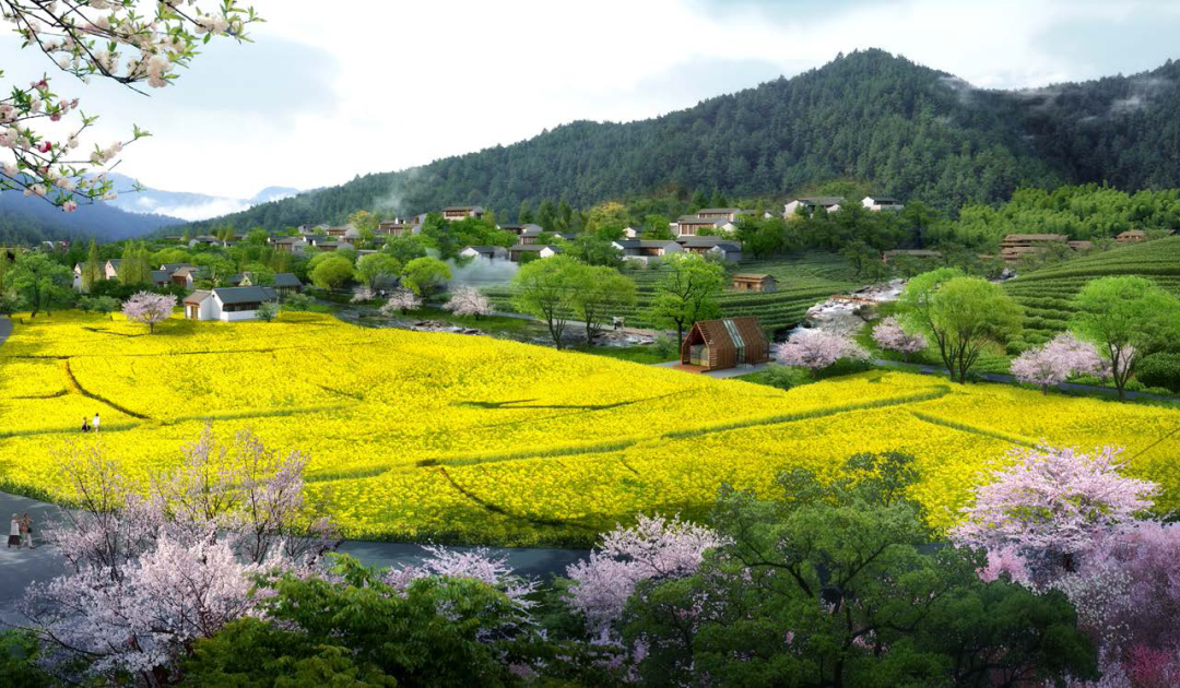 康美田园,古秀村居|大宸设计打造阳山县生态宜居美丽乡村