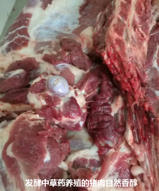 酶菌结合发酵中草药在无抗养殖和促进畜禽养殖健康和生长大有可为