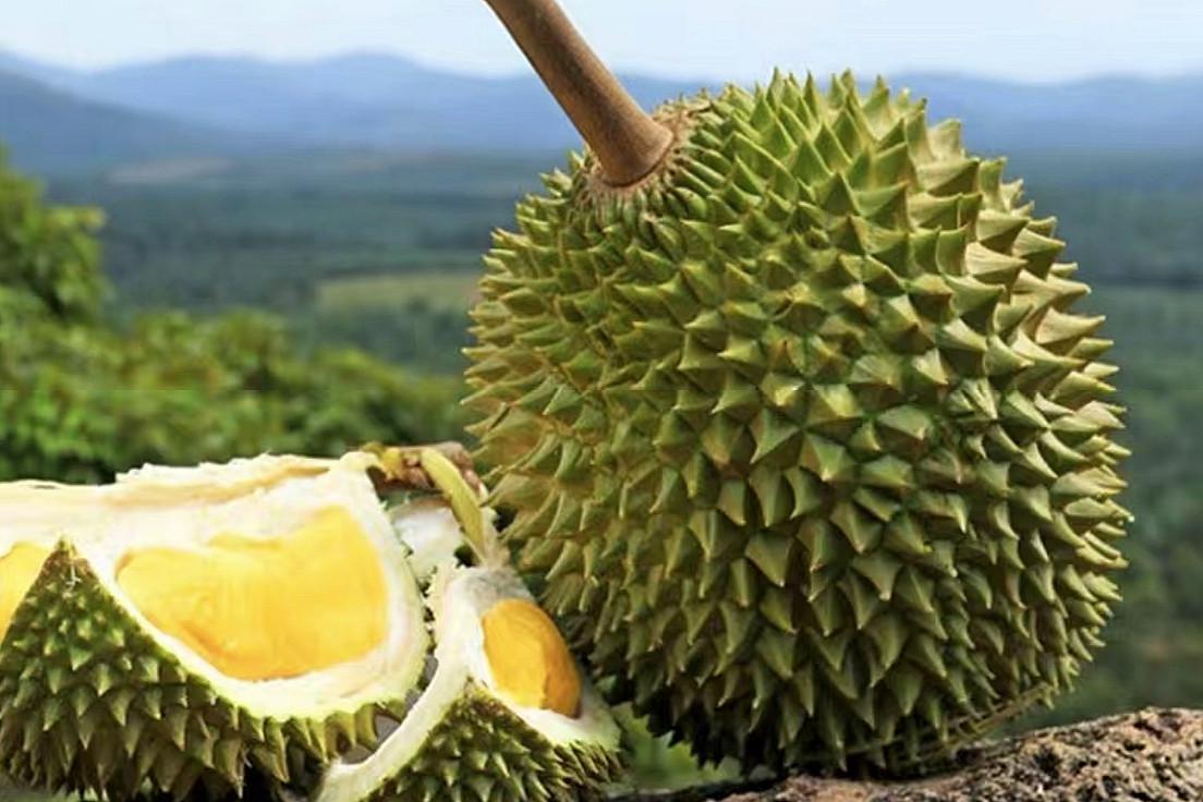 榴莲的"鄙视链",金枕头垫底,苏丹王第三,真是一分价钱一分货