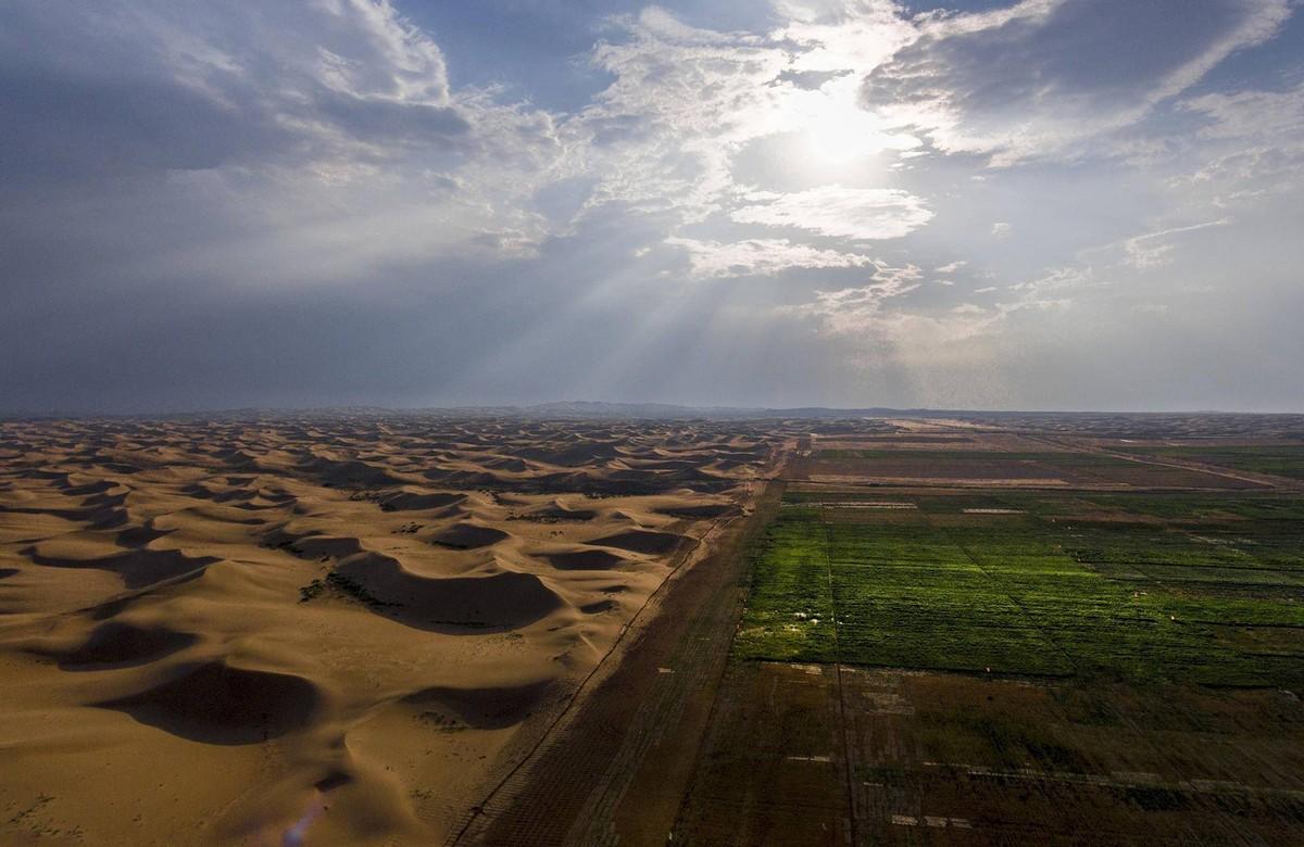 中国人种树有多厉害面积相当于8个韩国的毛乌素沙漠重现绿洲