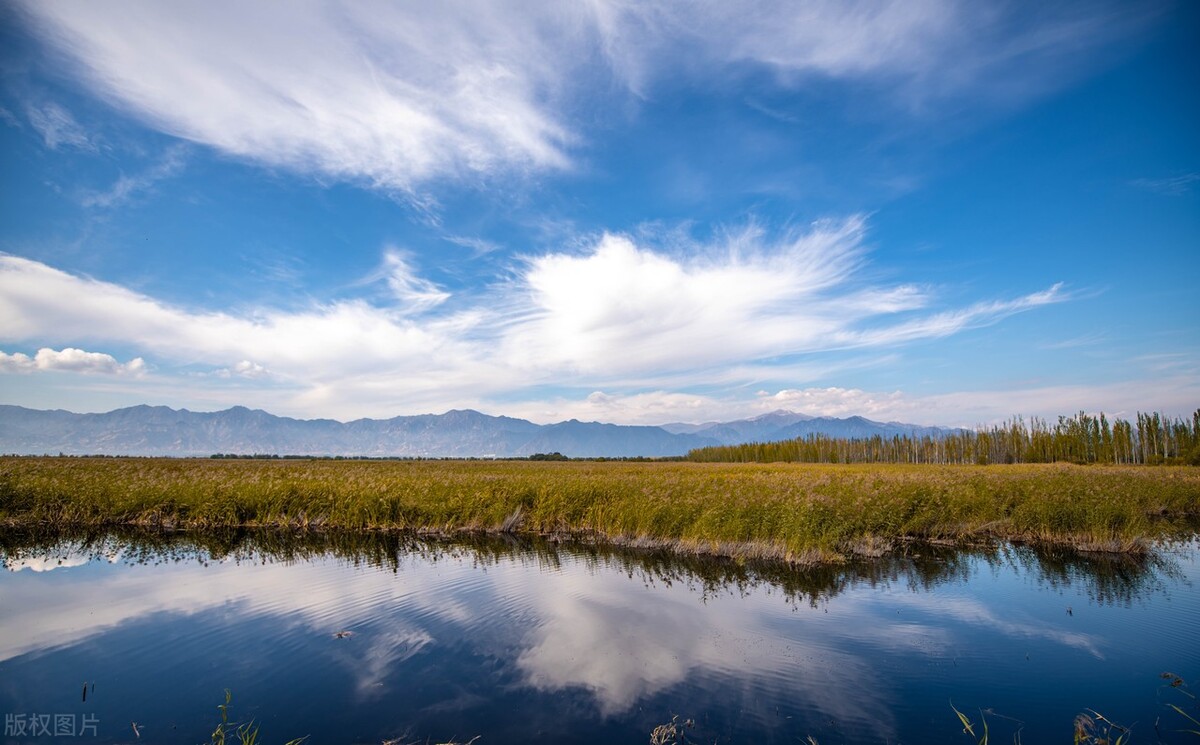 独家:金秋时节 北京最美湿地公园野鸭湖迎来最佳观赏期