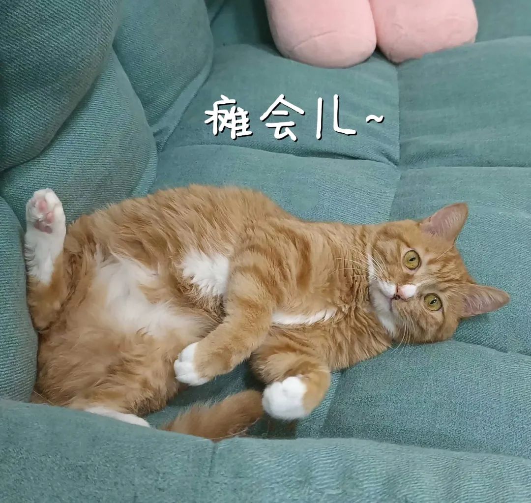 亳州天气不好说