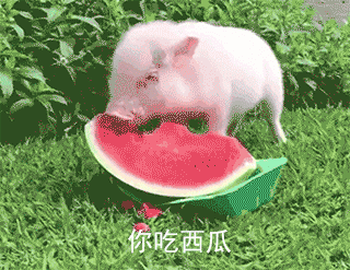 一口吃下8400个细菌!隔夜冰西瓜为什么这么"毒"?