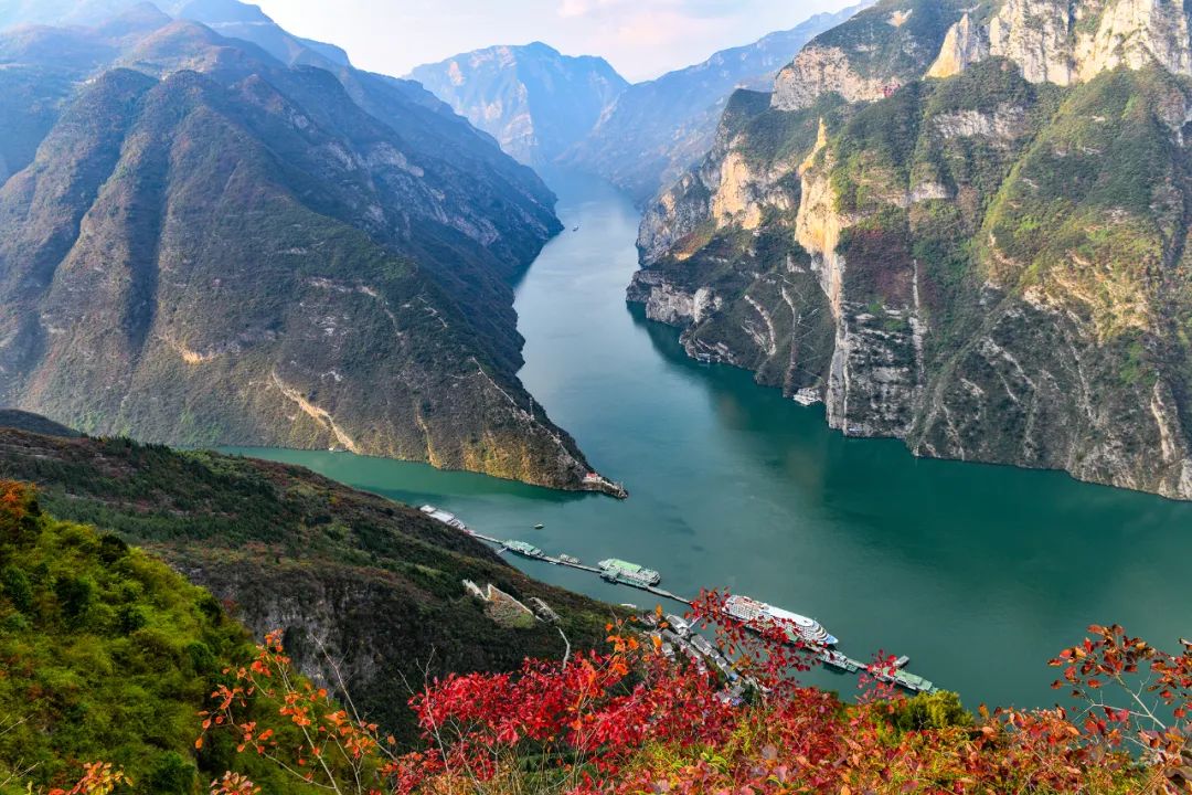 三峡两岸,红叶红了!