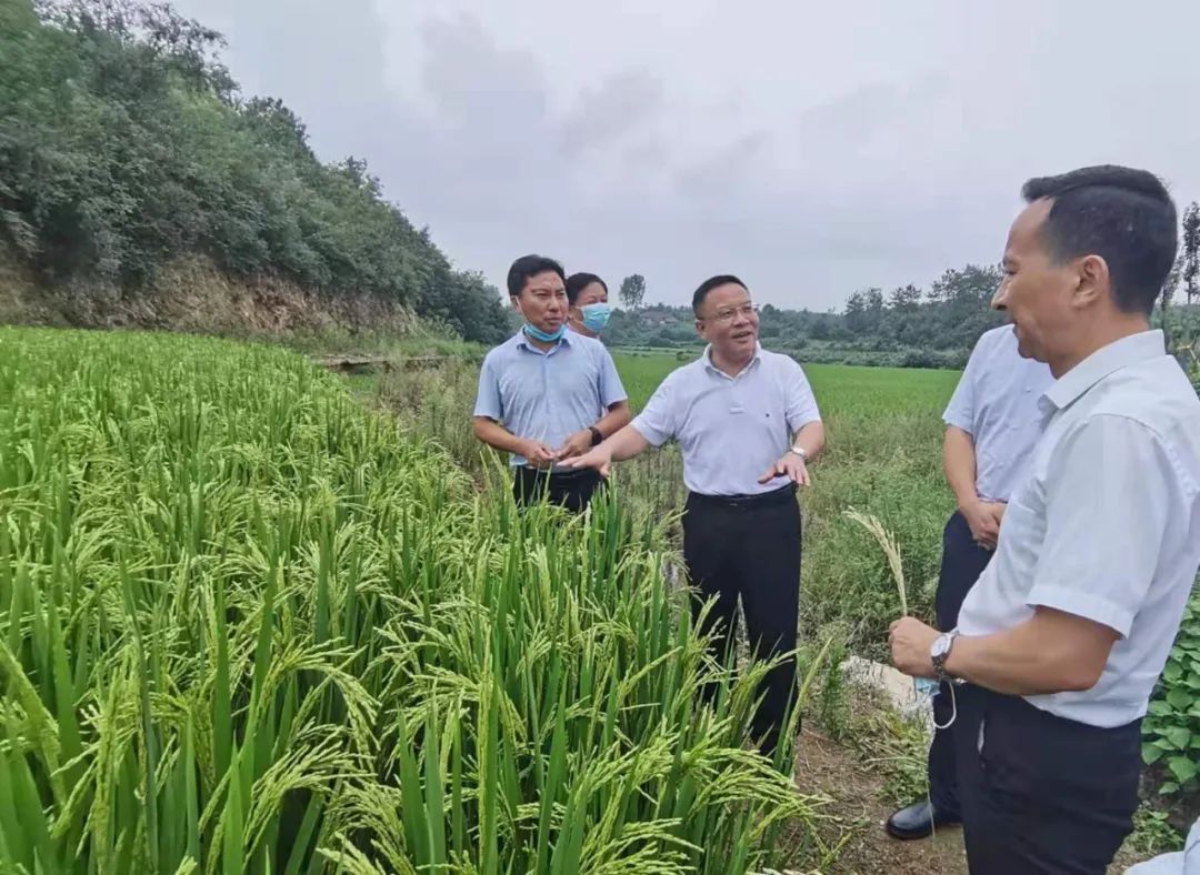 刘顺国到神农架,十堰,襄阳等地调研