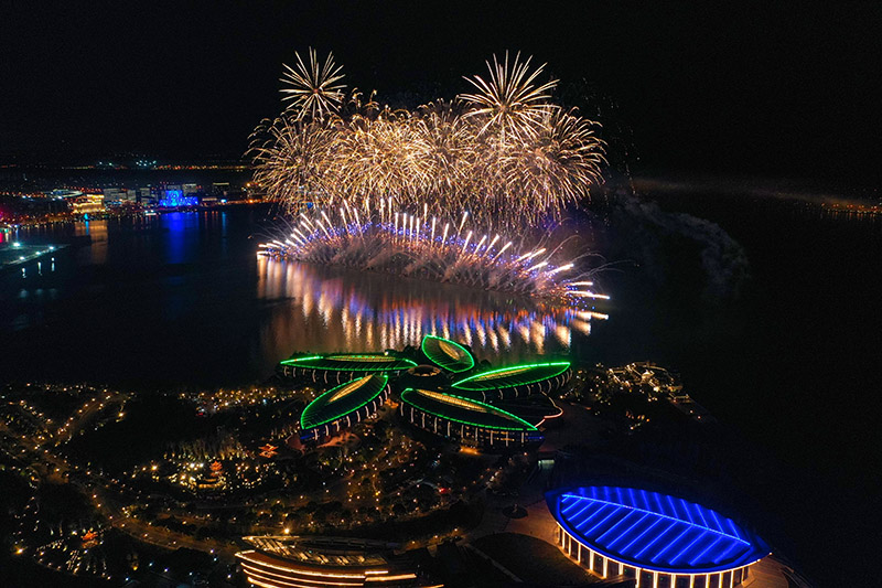 临港新年烟花秀图片