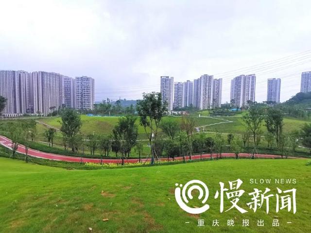溉澜溪体育公园即将完工,周末可以带娃赏花还能看球赛