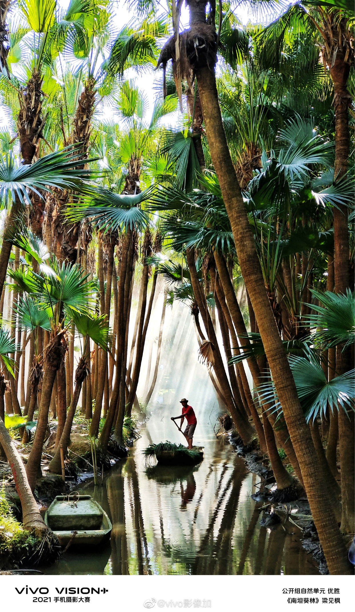 vivo vision 手机摄影大赛落幕,人气高涨口碑出圈