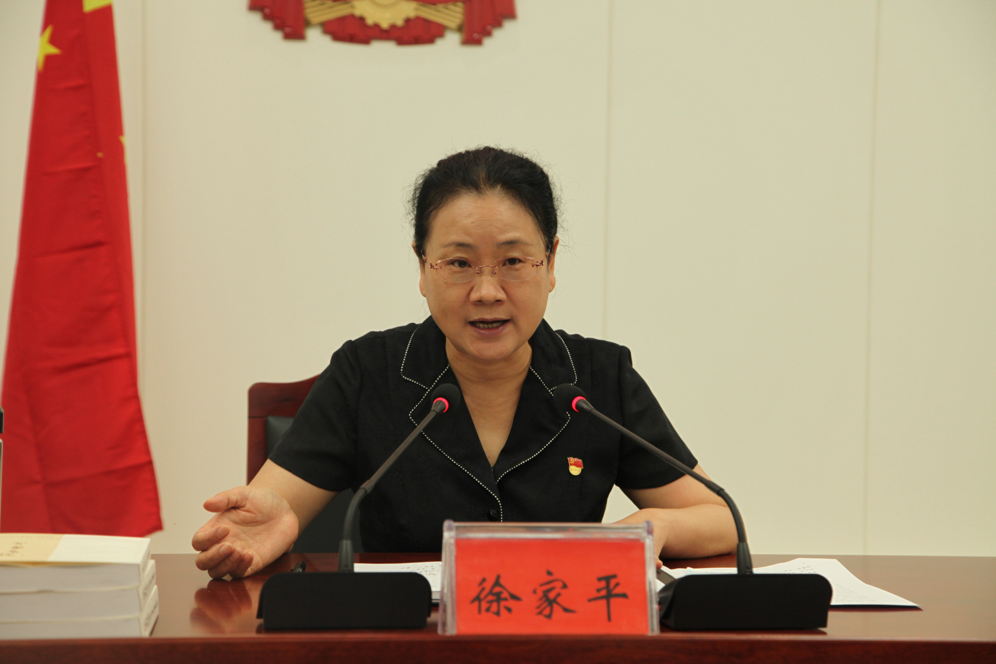 市人大常委会主任徐家平莅临我县调研指导基层人大工作和建设情况