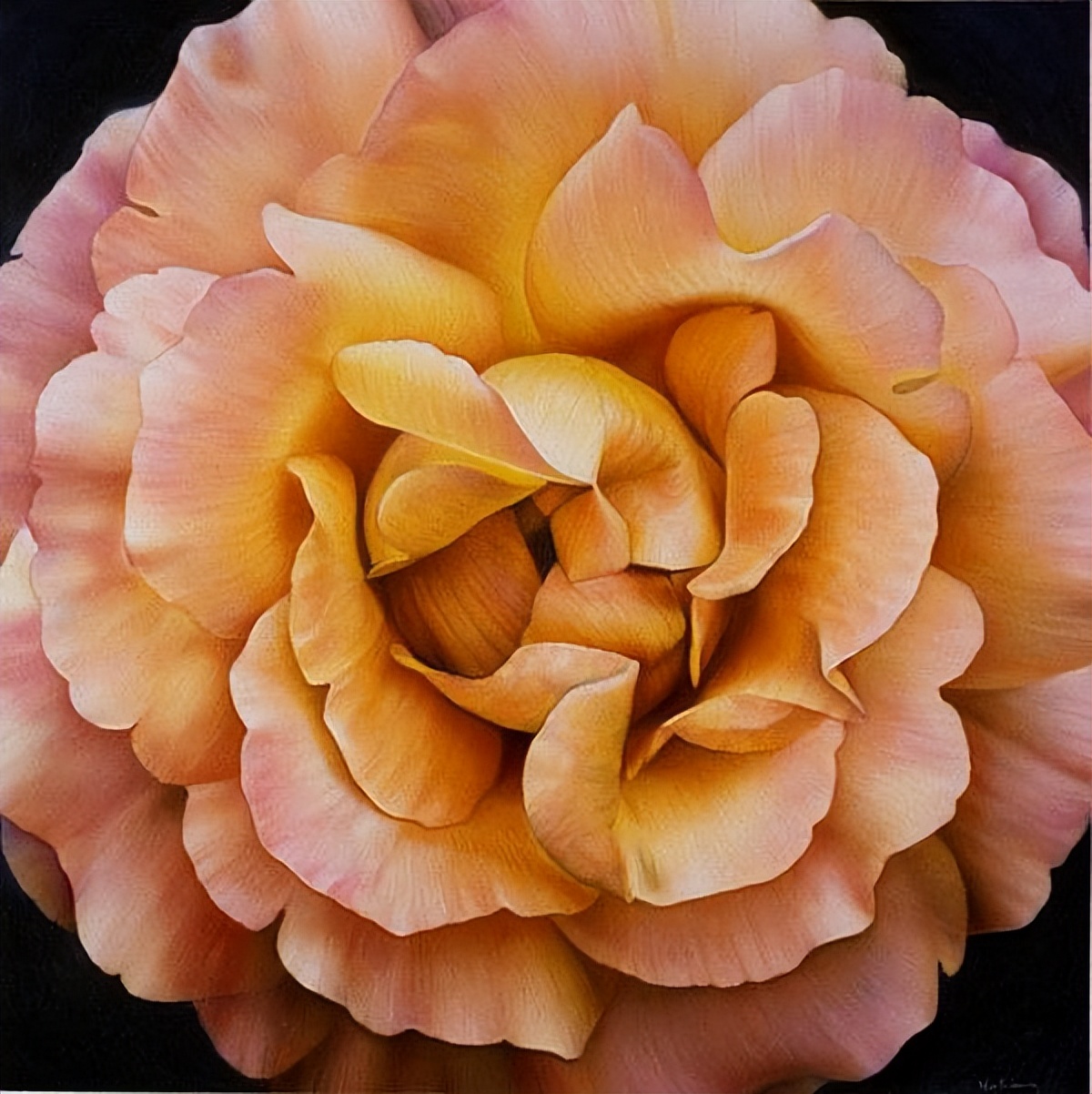 dennis wojtkiewicz的超写实水果油画作品︱艺术名画