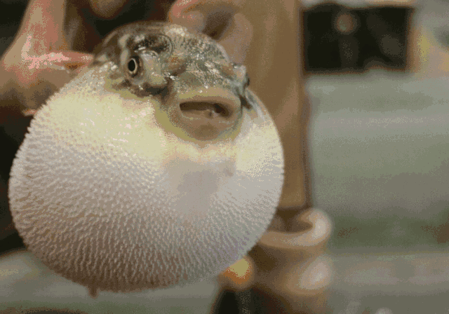 怪事!男子只要想到酸辣美食,下巴就鼓如河豚