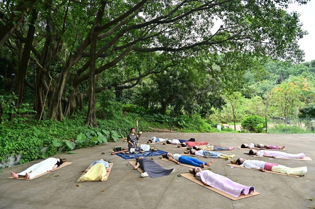 风吟瑜伽森林疗愈活动回顾|奔赴一次深度疗愈之旅